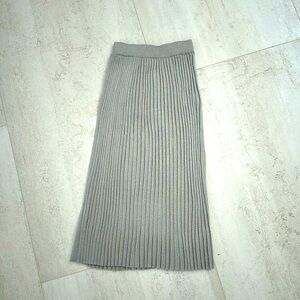 NWT Interdee Silver Pleated Long Skirt